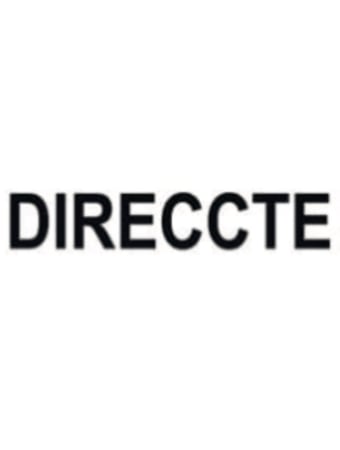 logo direccte