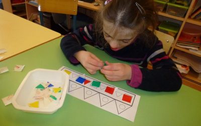 Conseil d’Acteurs de Parcours (CAP)