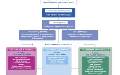 1 Directeur (H/F) en CDI à temps plein